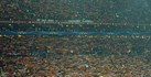 (Fotoğraflar: Galatasaray Derg